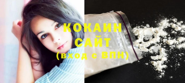 шишки Ладушкин