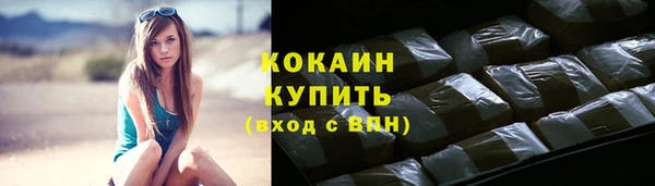 шишки Ладушкин