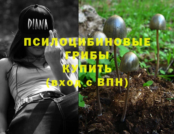 дживик Лабытнанги