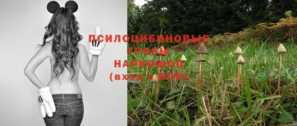 дживик Лабытнанги