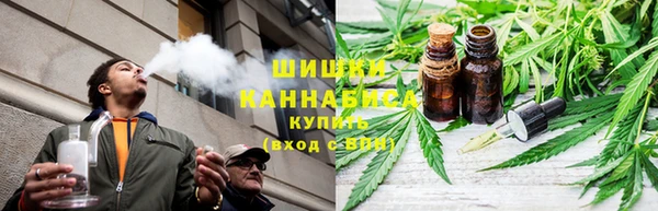 шишки Ладушкин