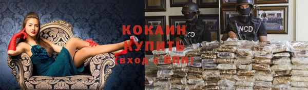 шишки Ладушкин