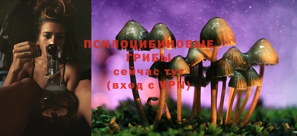 PSILOCYBIN Усмань