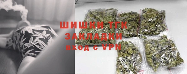 шишки Ладушкин
