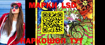 винт Донецк