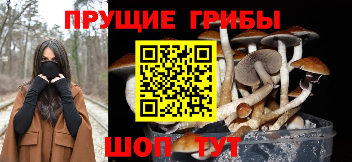 Галлюциногенные грибы мицелий Малгобек