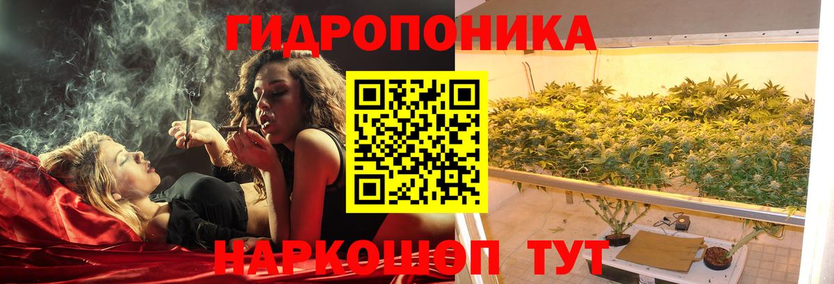 Шишки марихуана марихуана Малгобек